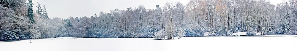 美丽的大全景冻结雪覆盖的湖与树周围周长覆盖在雪