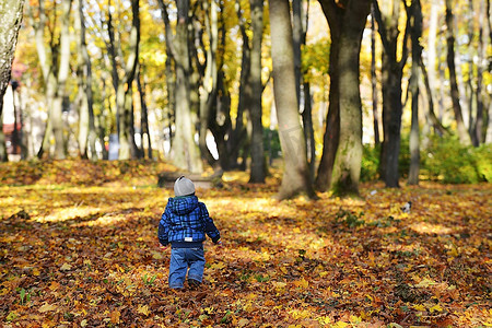 小男孩走在公园。晴朗的秋天天