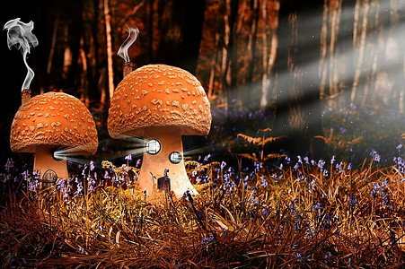 蓝铃林中梦幻蘑菇屋的超现实主义空灵形象