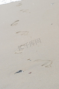 刹轮胎痕迹摄影照片_海上湿沙上的痕迹