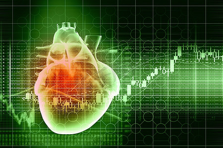 人类心脏跳动鸟类图像素材