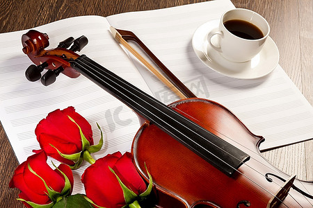 提琴摄影照片_红玫瑰和小提琴