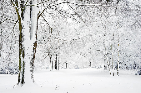 雪冬季景观农村场景与英国农村