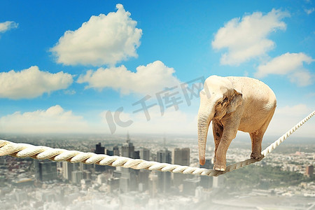 可爱的大象摄影照片_走在绳子上的大象