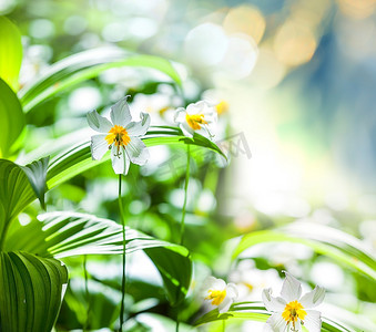 春暖花开