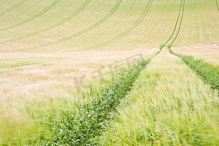 夏日风摄影照片_在多风的夏日风景中，沿着耕田里的拖拉机线观看