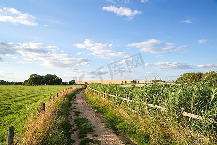 夏日在田野中穿行的夏日风景