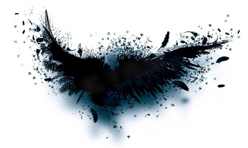 黑色翅膀的神秘绘画花纹黑色天使的翅膀飞行中的象征与神秘墨水绘画