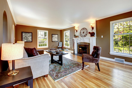 古典与现代摄影照片_经典棕色和白色客厅与硬木地板.