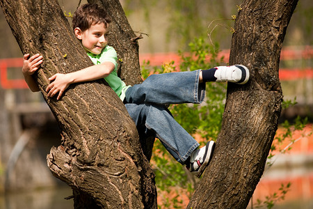 抵达地点摄影照片_男孩爬上树