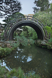 在旧金山的日本花园木桥