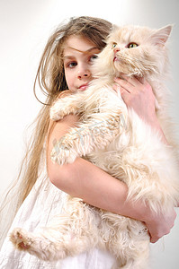 猫狗与人摄影照片_孩子用波斯语猫