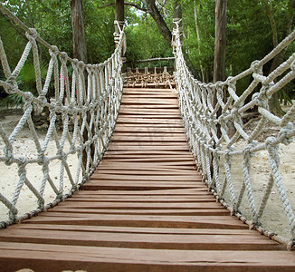 冒险木制绳索丛林悬浮桥