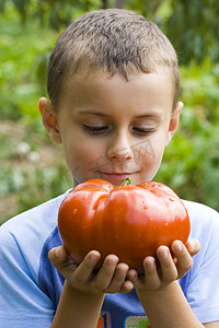 巨大なトマトを持つ少年巨型番茄的男孩
