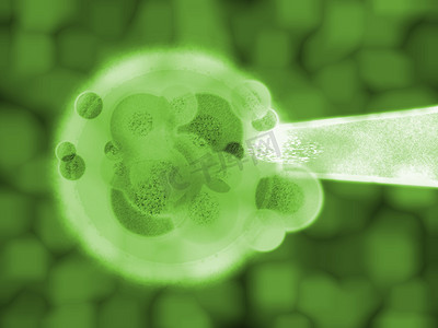3d 绿植物细胞物质医学图解