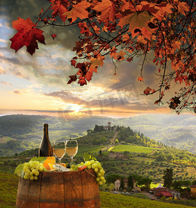 意大利托斯卡纳Chianti葡萄园里的白葡萄酒和酒桶
