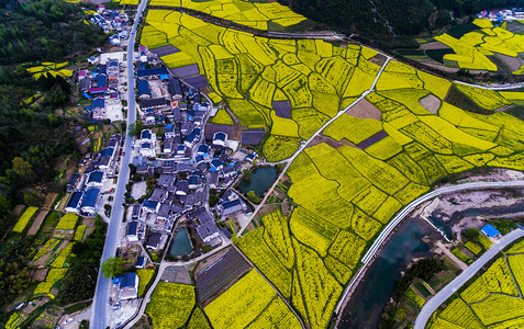 安徽的城市摄影照片_2018年3月31日, 中国北方安徽省池台县奇台镇高卢亭古村落的老房子鸟图.