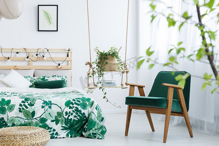 家具海报绿色摄影照片_羽衣甘蓝绿色扶手椅卧室