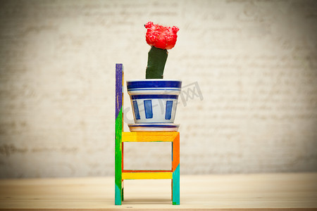 玩具的木制椅子，在一盆仙人掌