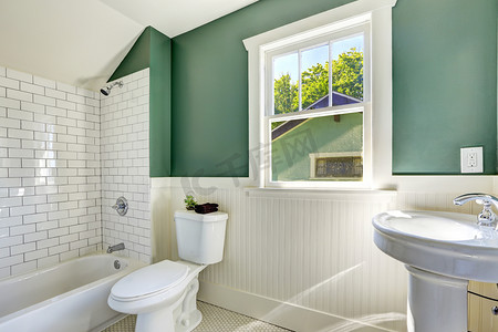 浴室内有白色和绿色的墙体装饰