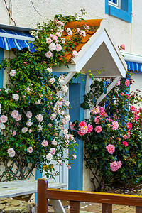 玫瑰摄影照片_用粉红玫瑰，苏格兰的一座房子 