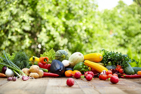 新鲜有机蔬菜及水果
