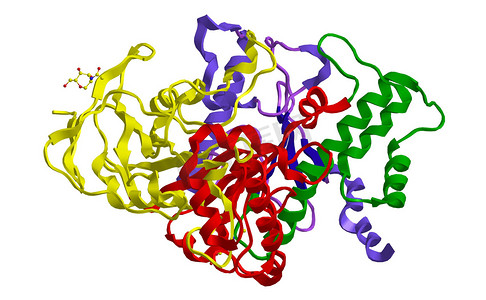 胆碱酯酶酶分子的结构