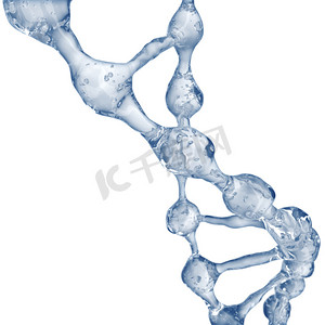 水从 Dna 分子模型三维图.