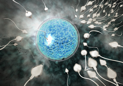 科技种子摄影照片_精子和卵子