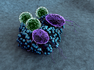 分子摄影照片_巨噬细胞、 淋巴细胞