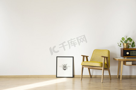 家具海报绿色摄影照片_带扶手椅的空房间