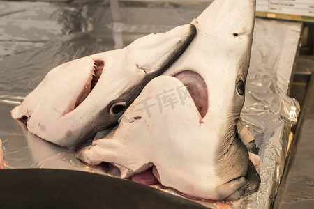 凶猛的鱼摄影照片_对本地市场的鱼贩鲨鱼头