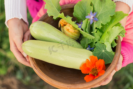琉璃摄影照片_Bowl of freshly picked vegetables in kids' hands