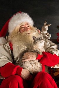 猫咪表情摄影照片_圣诞老人和他的猫在家里