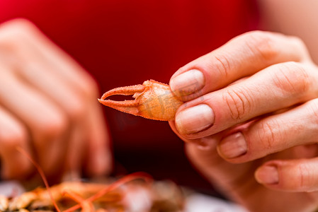 一堆贝类摄影照片_煮小龙虾爪在乡土木背景