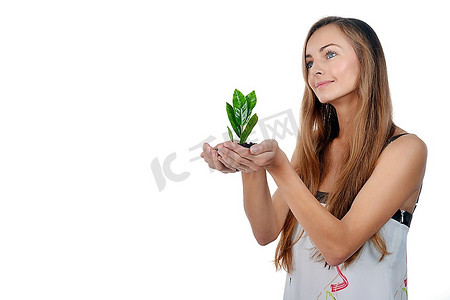 美丽的年轻女子，手心里长着绿色的树芽