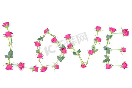 typescript摄影照片_用玫瑰做成的“爱”字