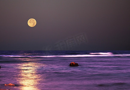 月光鸟摄影照片_月光下的大海