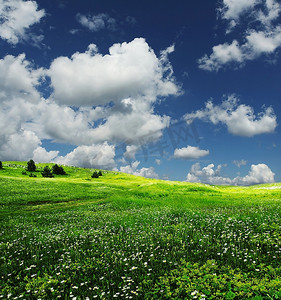 绿野农业摄影照片_绿野白云