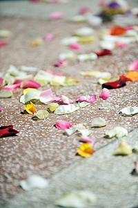 地上的玫瑰花瓣