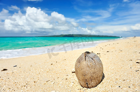 菲律宾偏远岛屿美丽的荒野海滩上的椰子