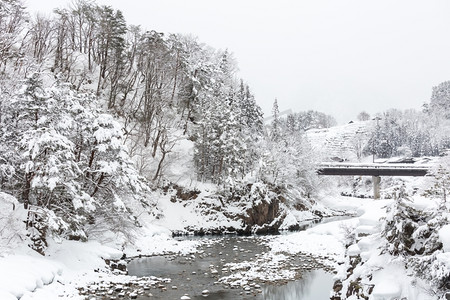 中部地区摄影照片_日本白川县美丽的降雪冬季景观
