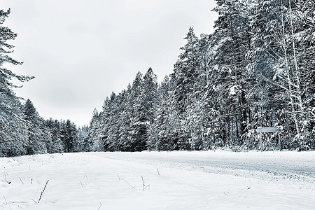 下雪路摄影照片_白雪覆盖的林路，冬季的风景