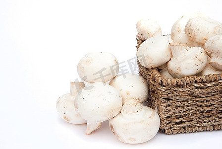 新鲜的香菇蘑菇，装在白色背景下孤立的乡村编织篮子里