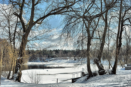 视图树、雪、冰和河在冬天天
