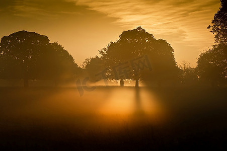 森林光芒摄影照片_冉冉升起的太阳从下面照亮了雾，使雾发出诡异的光芒