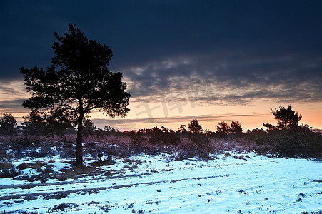 冬日乡村摄影照片_美丽的冬日日出景观覆盖着白雪覆盖的乡村景观