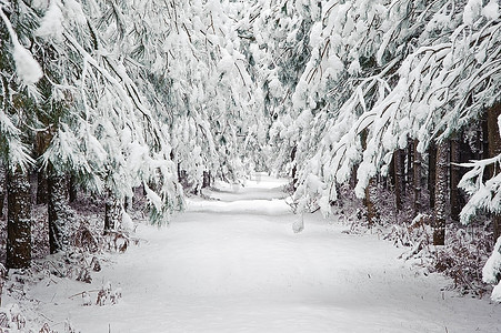 下雪乡村摄影照片_雪冬风光英国乡村风光