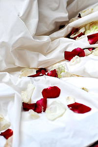 婚纱附近地上的玫瑰花瓣