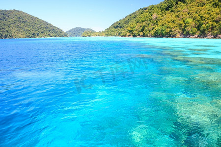 泰国普吉素林国家公园有美丽珊瑚景观的浮潜地点